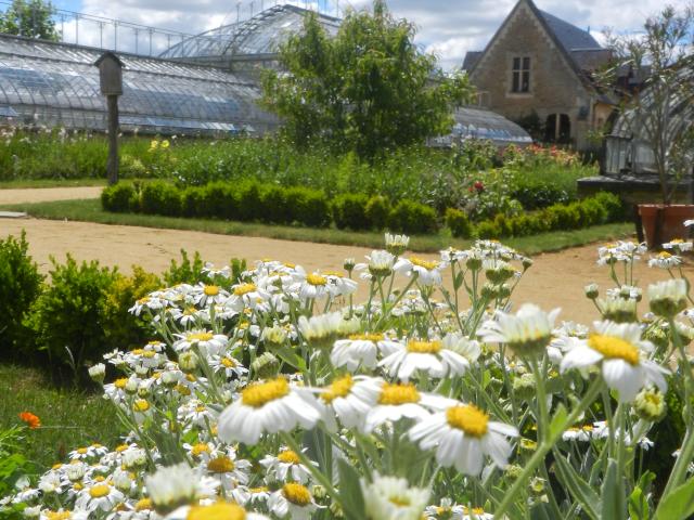 Jardin Potager, fleurs avec vue sur la serre et les écuries