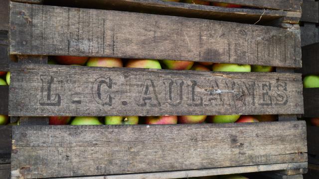 Caisse de pommes en bois