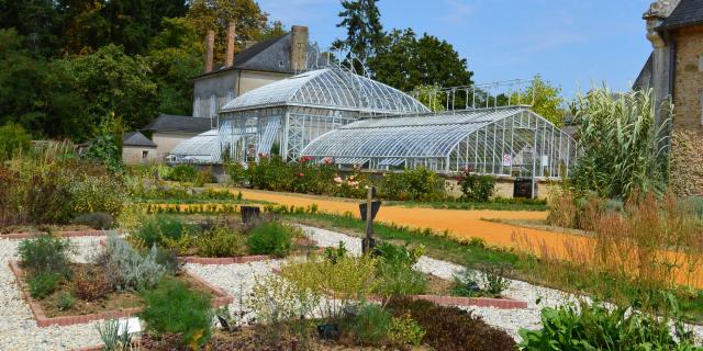 Les plantes aromatiques du Jardin Potager