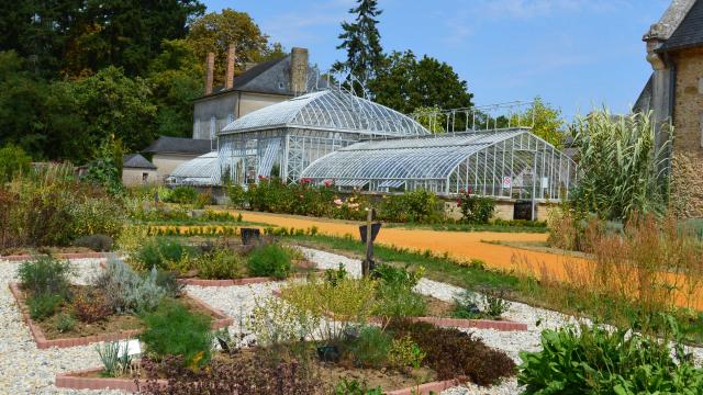 Les plantes aromatiques du Jardin Potager