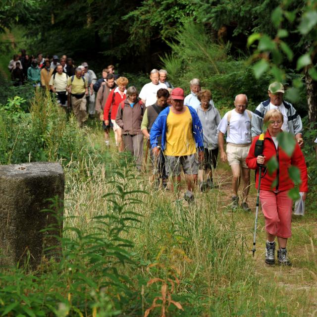 Randonnée en forêt de Perseigne