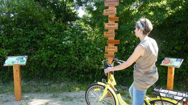 A vélo sur la Voie Verte