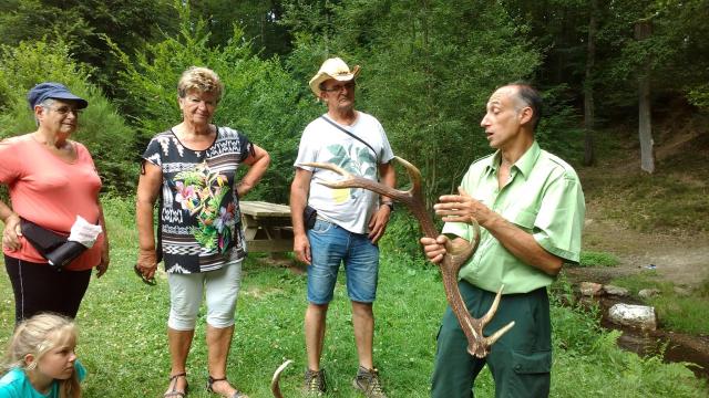 Agent ONF et bois de cerf