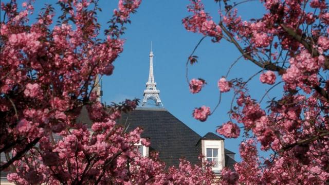 La Tour Eiffel de Mamers